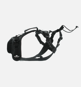 i-DOG x Raidlight - Dog Harness