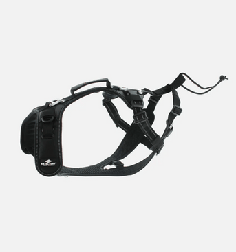 i-DOG x Raidlight - Dog Harness
