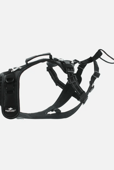 i-DOG x Raidlight - Dog Harness